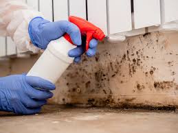 Best Commercial Mold Inspection  in Kirkland, WA